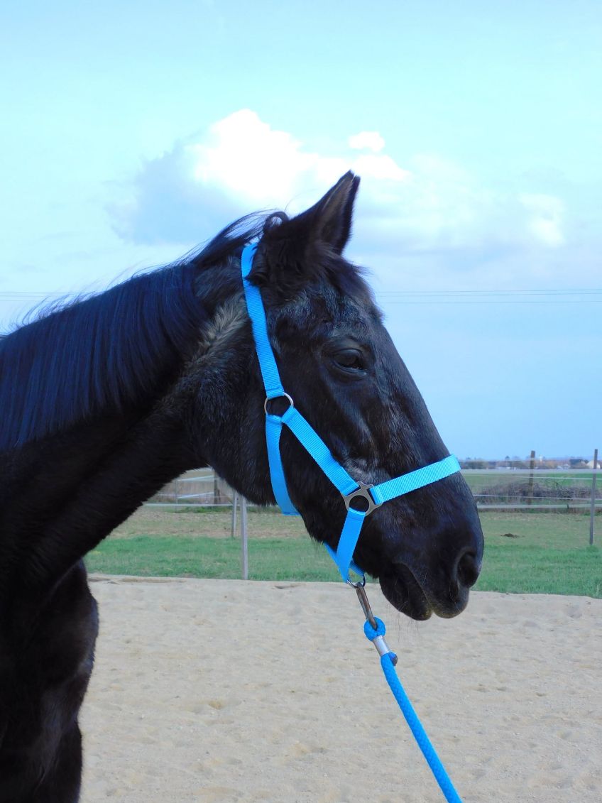 Varázsló Viki 37 éves